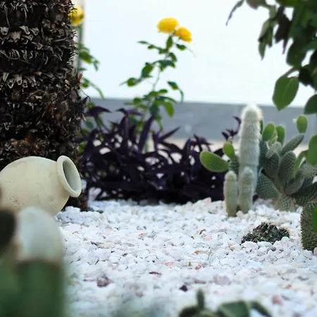 La Rosa Dei Templi * Агрідженто