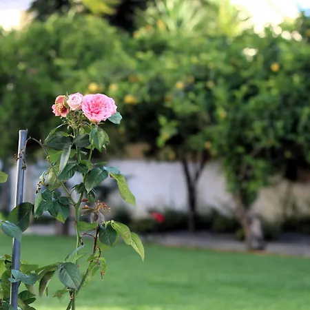 La Rosa Dei Templi شقة