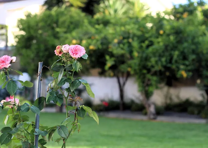 La Rosa Dei Templi شقة