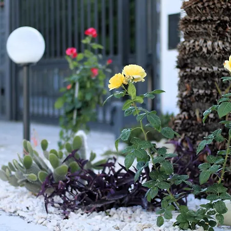La Rosa Dei Templi Apartment Agrigento