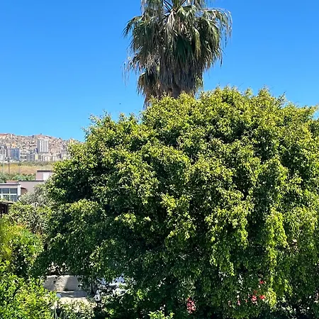 La Rosa Dei Templi Agrigento