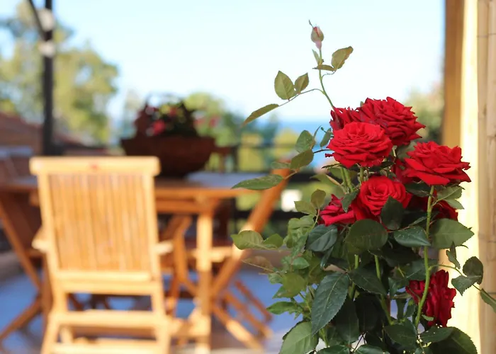 La Rosa Dei Templi Appartement Agrigento